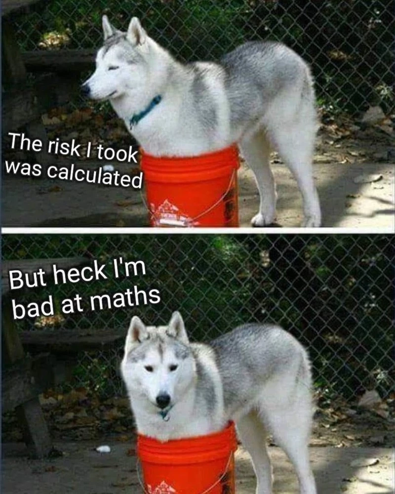Whenever Someone Says A Husky Is Smarter Than Other Dogs, Just Show Them This