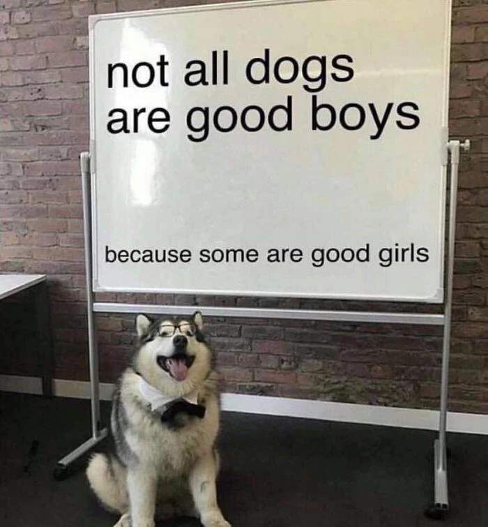 Facts From Professor Husky Over Here