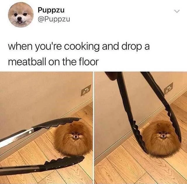 That Is One Angry Meatball