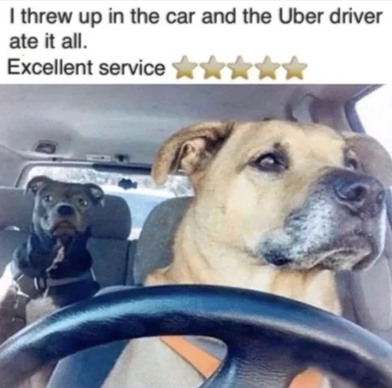The Best Customer Service There Is