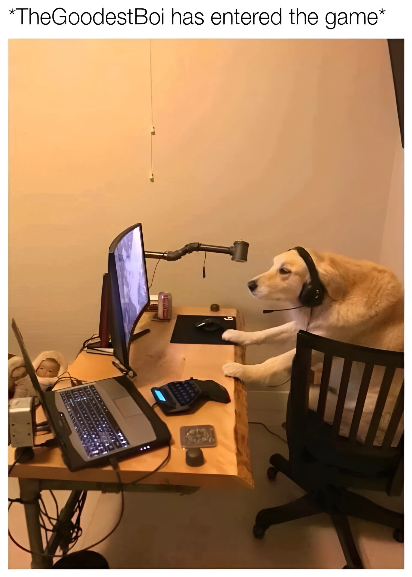 “The Gamer Dog Doesn’t Exist, He Can’t Hurt You.” Also The Gamer Dog: