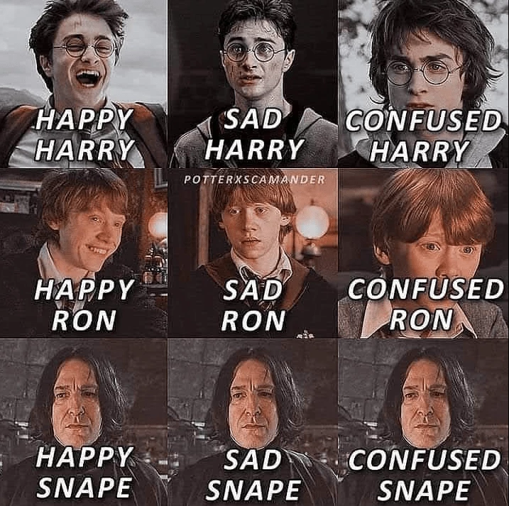 A Man Of Many Expressions, Severus Snape