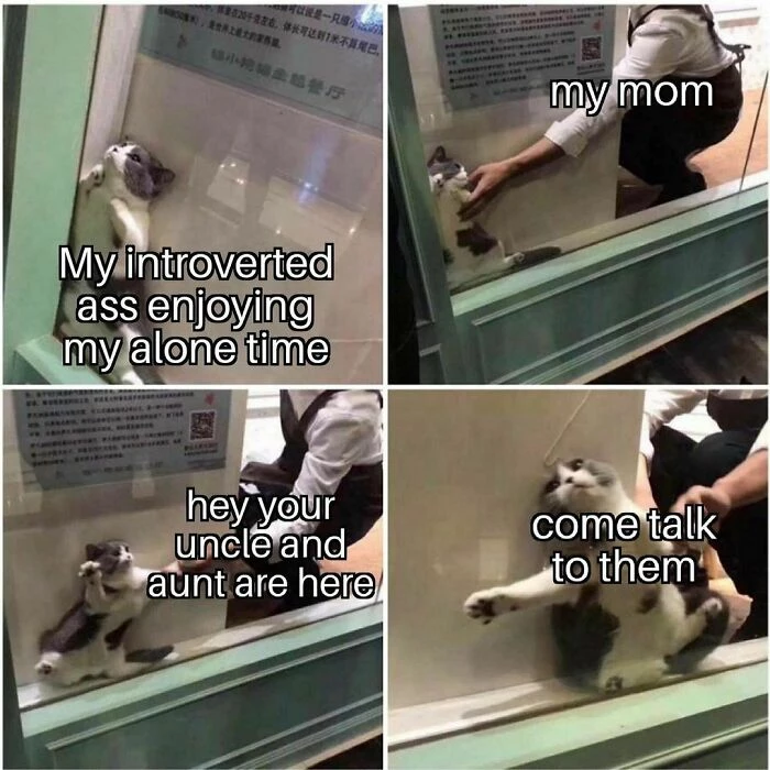 That Is Exactly Why I Don’t Want To Come Out Mom!