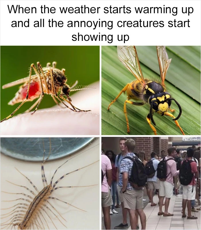 The Fourth One Is The Most Annoying Of All