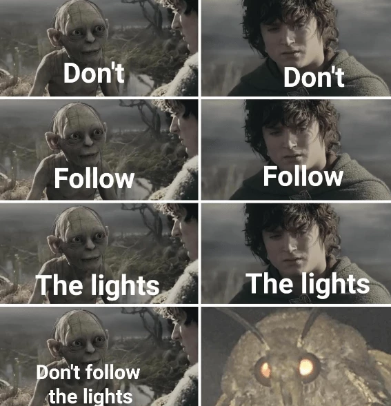 Let There Be Light, The Moth Shall Follows