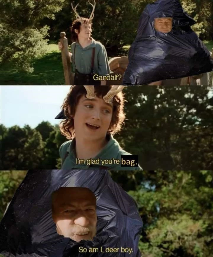 A Punny Exchange Between Frodo And Gandalf