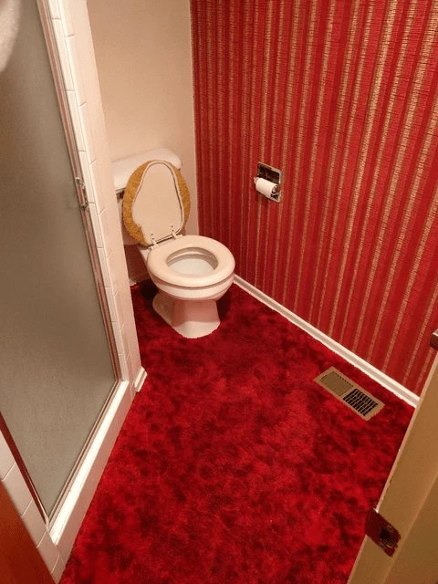 Who Thinks It’s A Good Idea To Install Carpets In The Toilet?