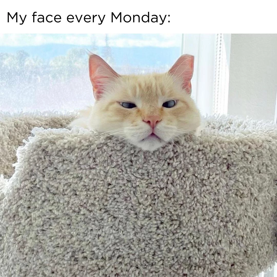 A Very Happy Monday Face Indeed
