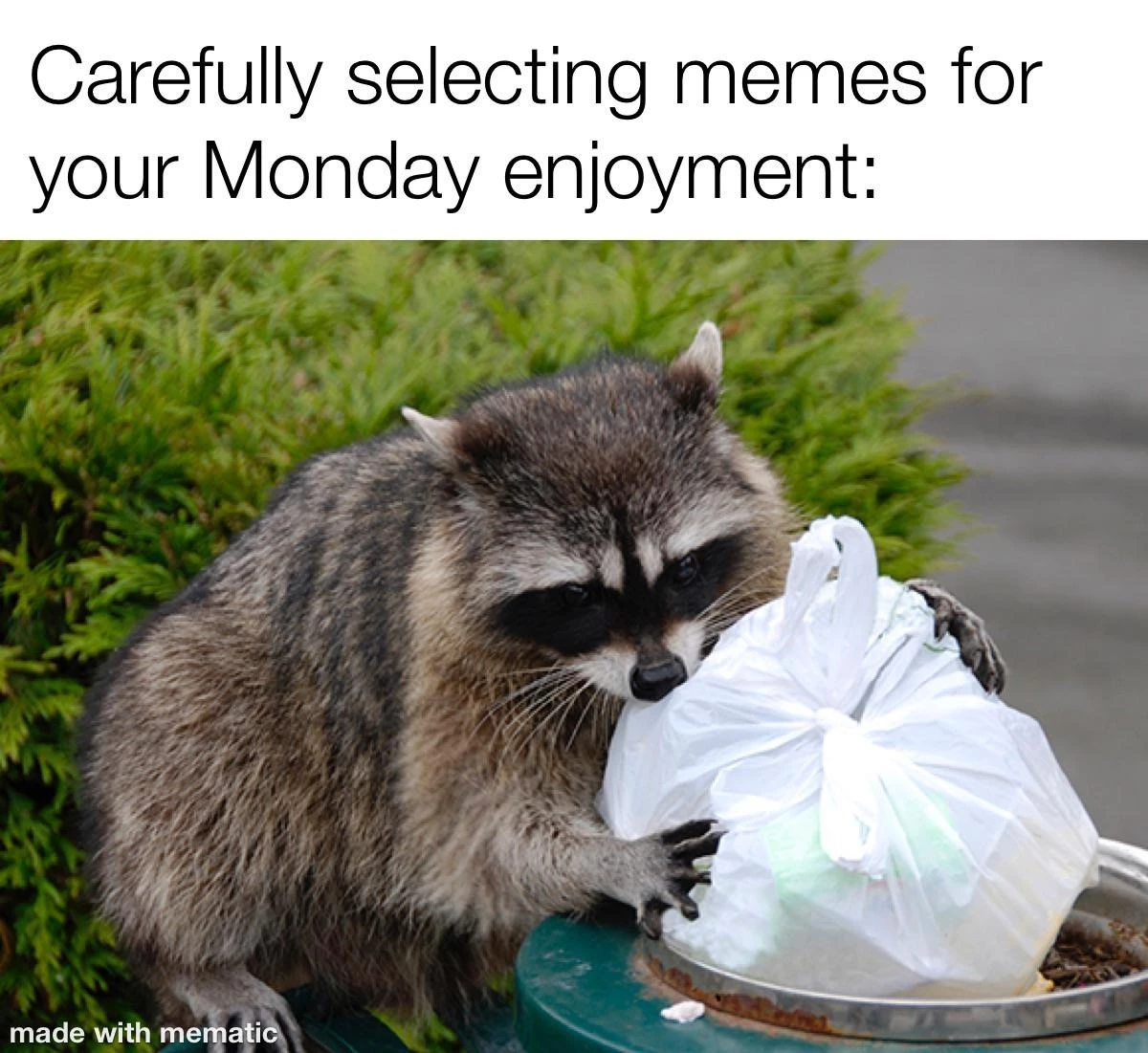 Instead Of Being Productive, This Is Me, Browsing Memes On Monday Morning