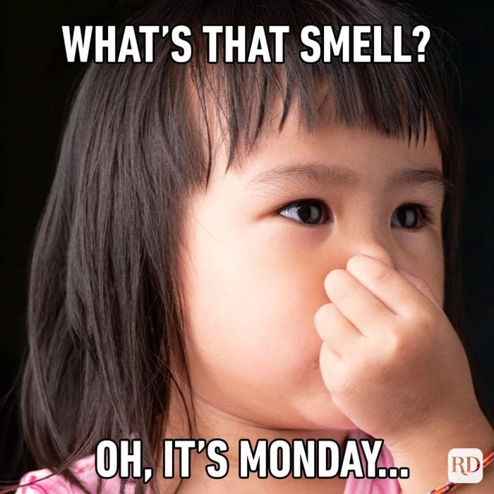 When You Have Had Enough, You Start Recognizing Monday As A Foul Smell