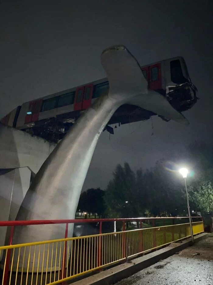 A Derailed Train Was Stopped Thanks To An Abandoned Whale Statue