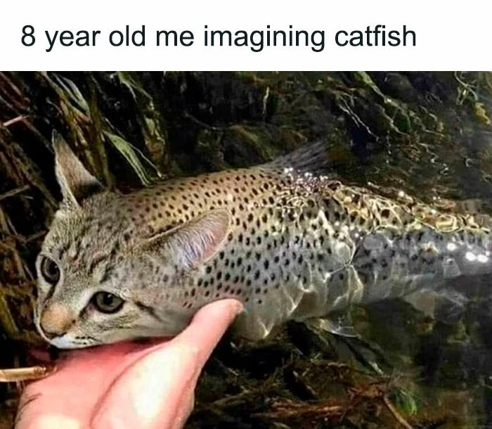 Me At 18 Years Old, Still Misunderstand Catfish As A Real Animal