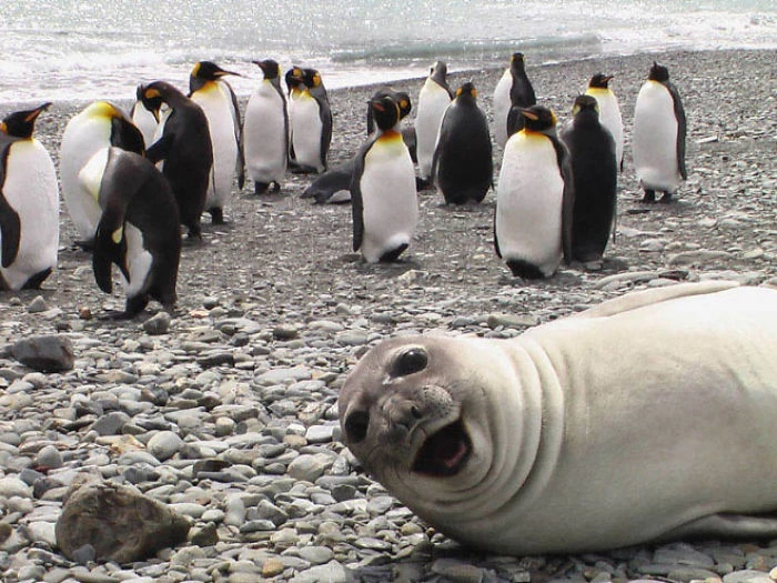 How About This For A Photobomb?