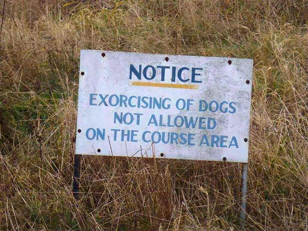 Guess I’ll Take My Possessed Dog Elsewhere Then
