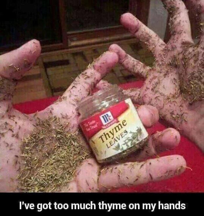Lord Please Forgive Me, For I Am Literally Running Out Of Thyme