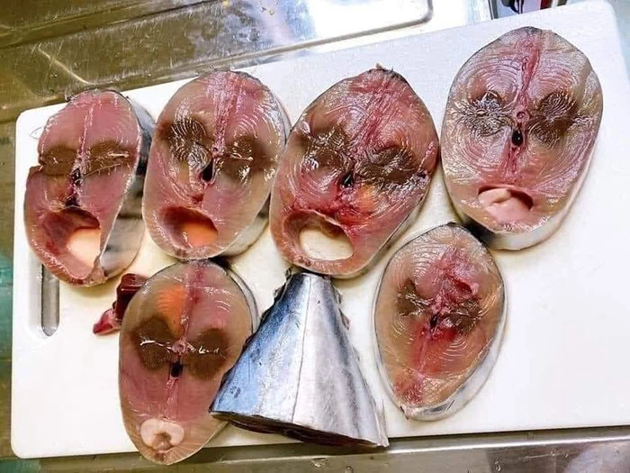 Turns Out There Are Aliens Hiding In This Tuna