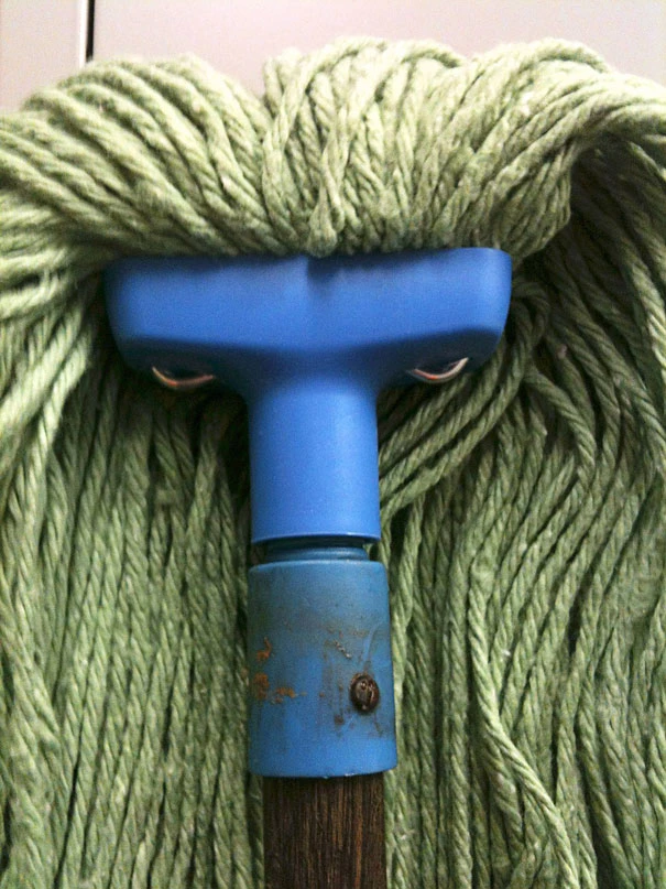 This Mop Reminds Me Of Rafiki From The Lion King