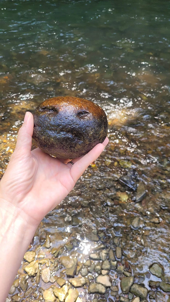 A Pebble, Unhappy Because It Stayed In The River For Too Long