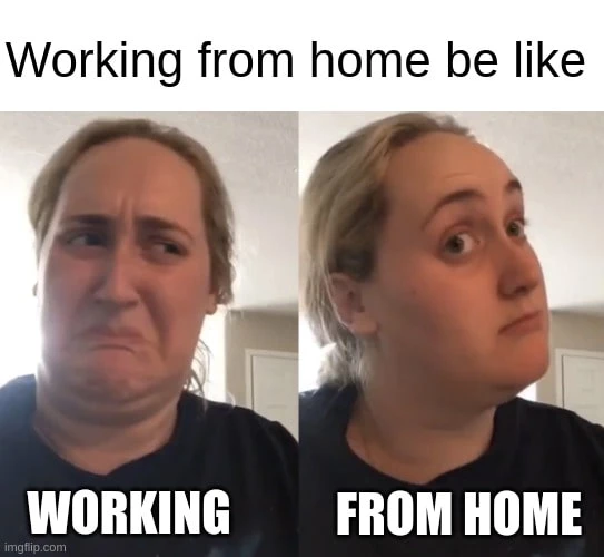 Working From Home In A Nutshell