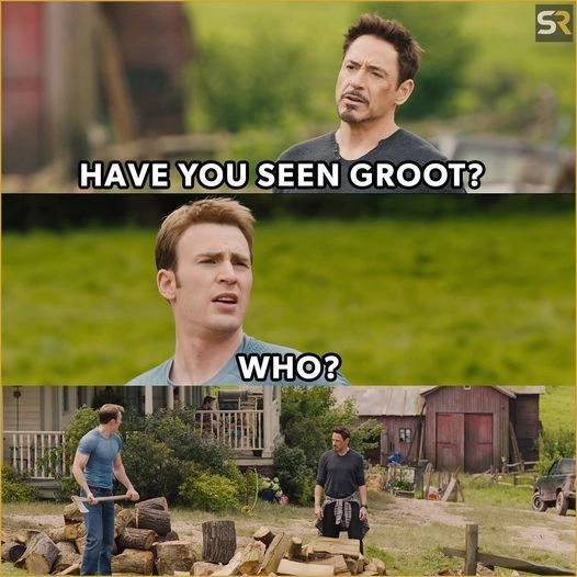 I Was Groot