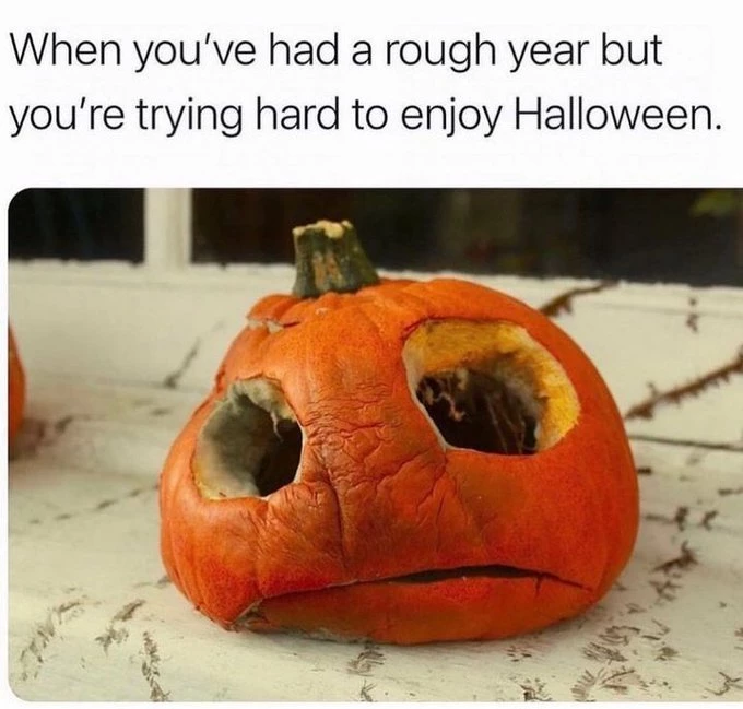 We Can All Relate To This Little Pumpkin Here
