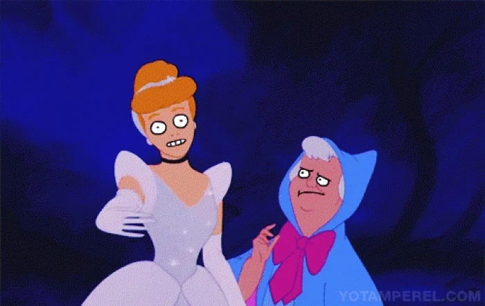 What Did Cinderella Do To Make The Fairy Godmother Look At Her Like This?