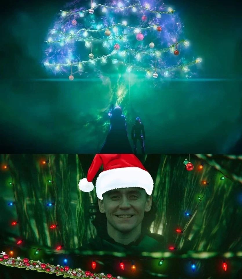 A Bit Of Christmas Decoration To Keep Loki Company This Christmas