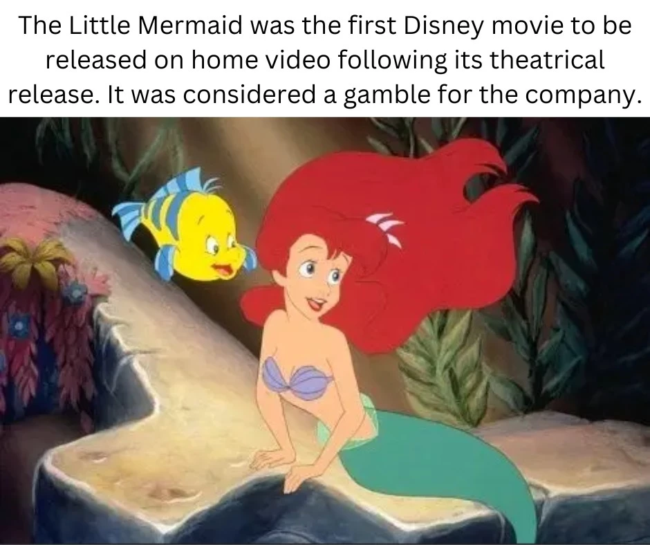 As A Result, The Movie Was A Huge Success, And Ariel Became One Of The Most Popular Disney Princesses Of All Time