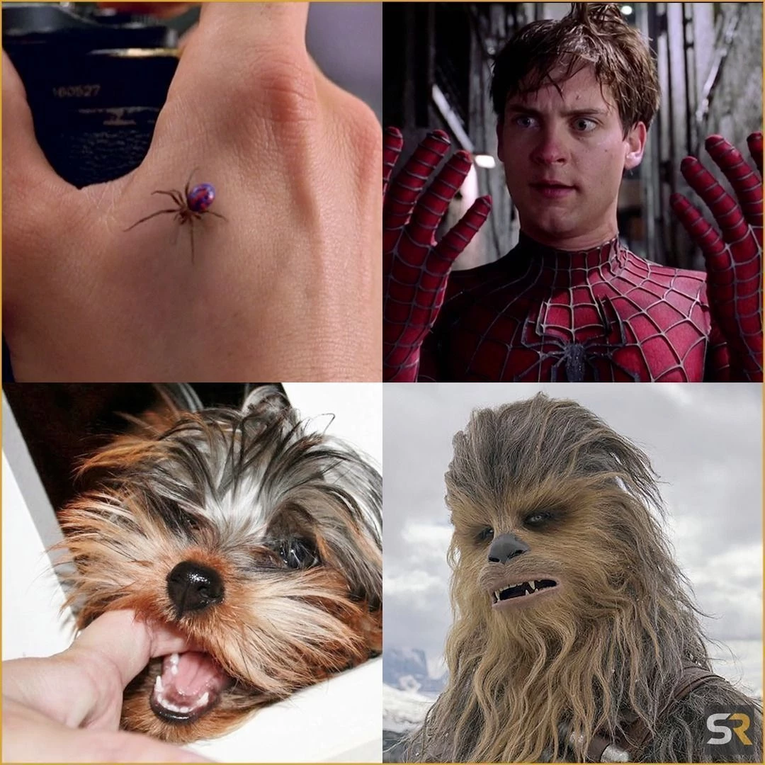 Where Can I Get A Wookie To Bite Me?