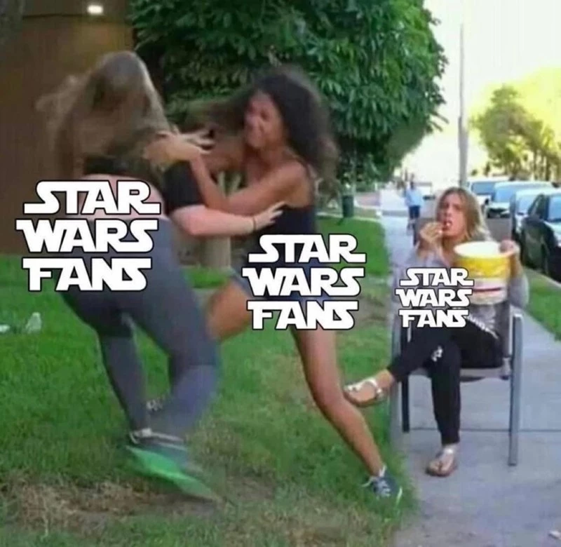 The Star Wars Fandom In A Nutshell