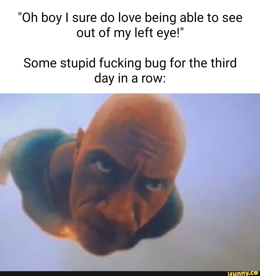 That’s No Bug That's A Whole Rock