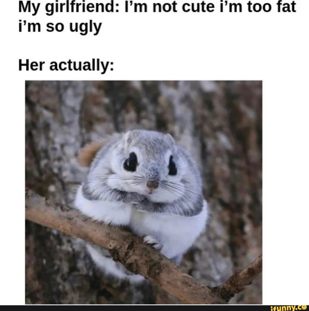 Fat GF Is Better Than No BF
