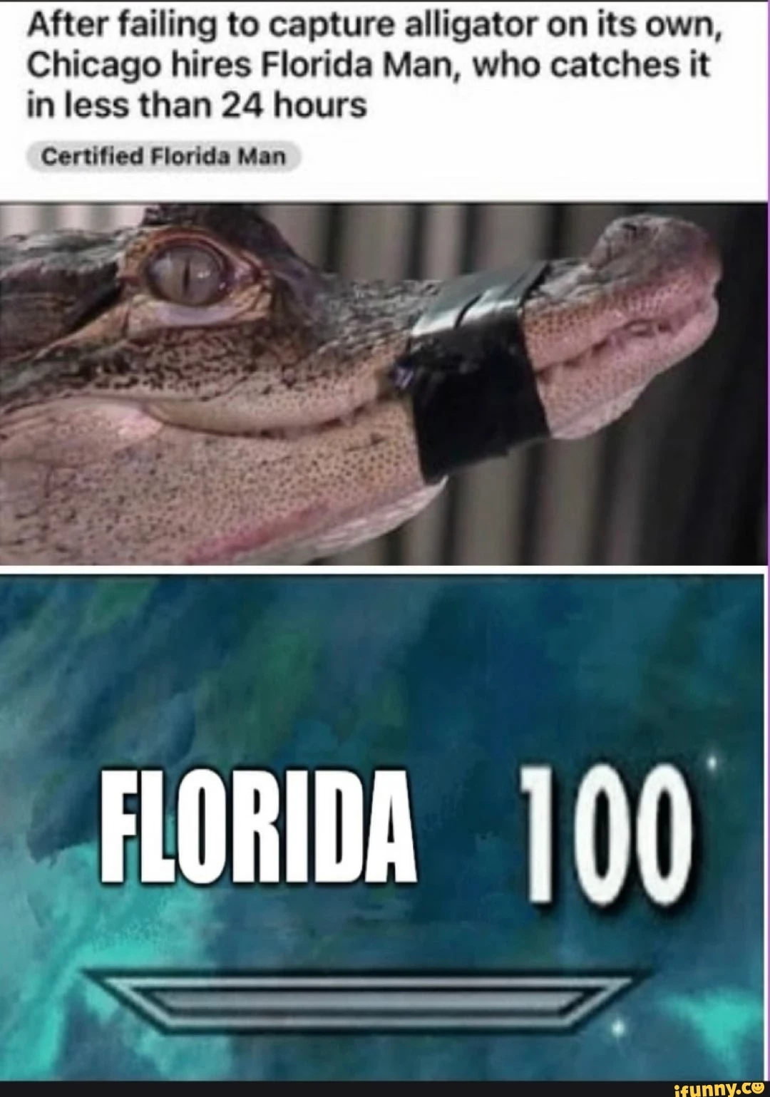 Florida Man Doing Florida Man Things