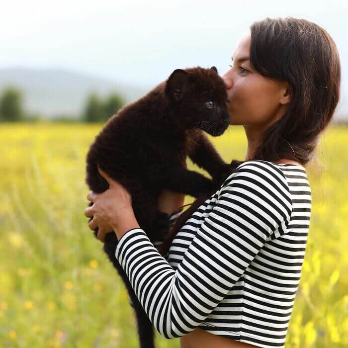 This leopard cub was adopted by humans