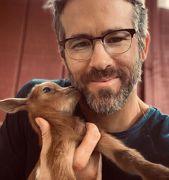 Cute Goats, Cutest Farm Animals