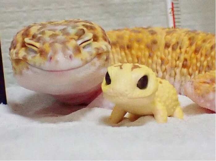 toy lizards, gecko smiling