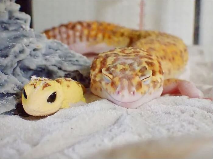 toy lizards, gecko smiling