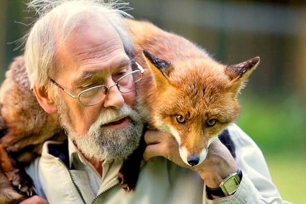 man saving fox