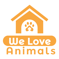 We Love Animals
