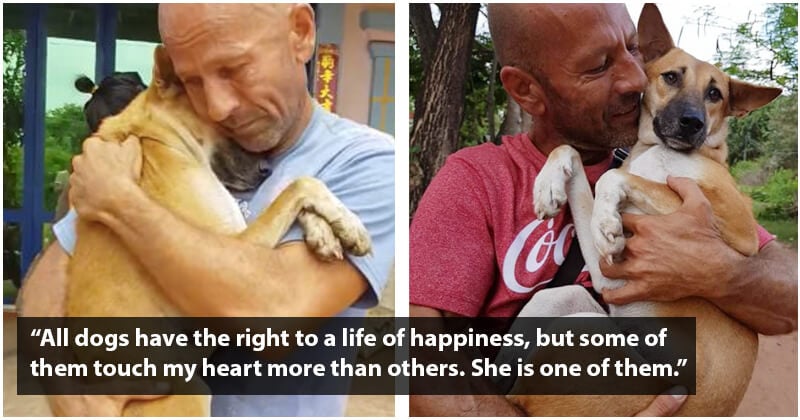 This Dog Can't Stop Hugging The Man Saved Her From Slaughterhouse