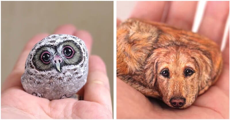 This Artist Turns Stones Into Extremely Cute Animals