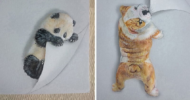 best animal drawing in the world