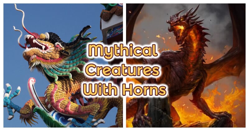 4 Animals That Are Mythical Creatures With Horns 0