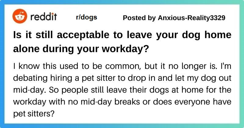 can you leave dog at home all day