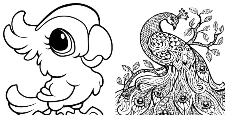 coloring pages of anmails