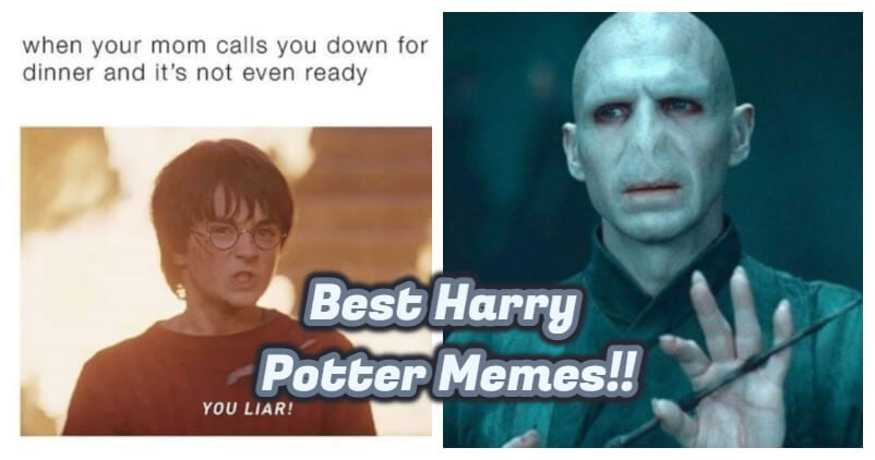 10 Harry Potter Memes That Can Totally Crack You Up