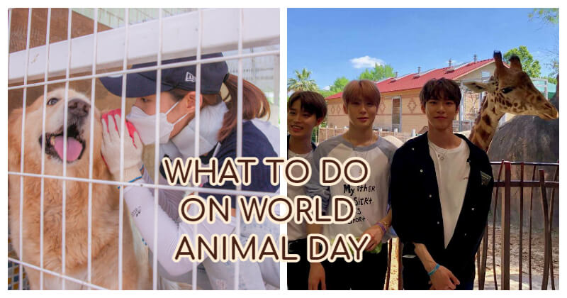 World Animal Day 2022 0