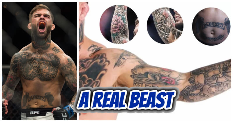 Morning Report Cody Garbrandt reflects on losses to TJ Dillashaw says  they will fight again in the future  MMA Fighting